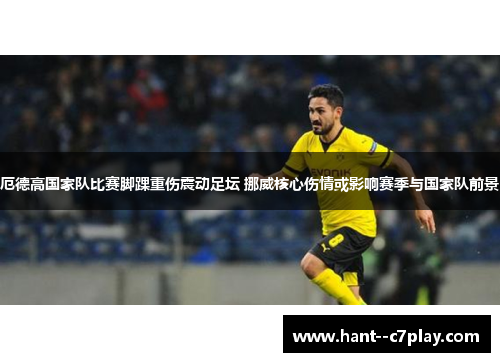 厄德高国家队比赛脚踝重伤震动足坛 挪威核心伤情或影响赛季与国家队前景